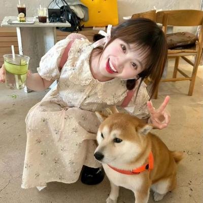 瞎猪想要飞